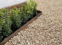 ECCO Core Edge flexibele afboording 1m / 10cm H - Corten