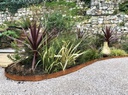 ECCO Core Edge flexibele afboording 1m / 10cm H - Corten