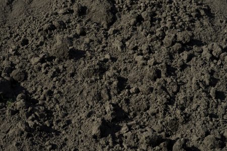 [31220] Zwarte grond (teelaarde) - los af