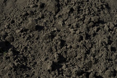 Zwarte grond met compost - los af